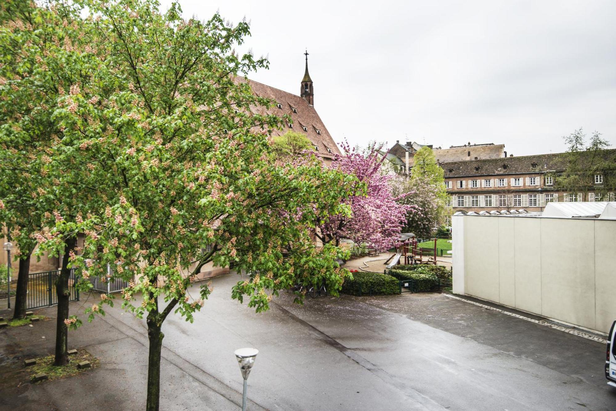 Apartamento Le Gabriel Estrasburgo Habitación foto